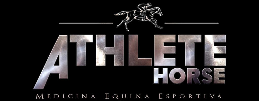 Logo do patrocinador